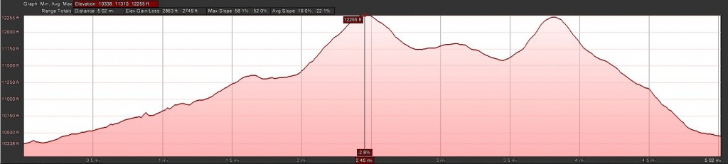 Manns/Tomasaki - Elevation Profile
